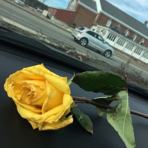 Meet your Posher, Kailey